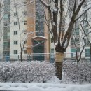 남양주시 호평동 호평마을 동원로얄듀크 아파트 설경 이미지