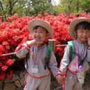 홍지유치원 이미지