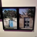 뉴 차칸데 마시따 | 서울시립미술관 <근접한 세계> 전시 후기