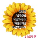 새한에너지 이미지