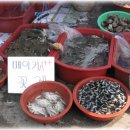 에이 플러스 이미지