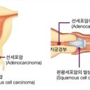 경희산부인과 이미지