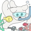 베베펫살롱 이미지