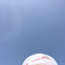 다오엠디 이미지