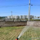 스퀘어독스 서산점 이미지