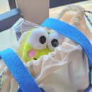 [서울과기대 졸업식 후기] 광주 꽃다발 추천 | 공릉동 에어비앤비 | 서울과기대 학식 | 서울 찍먹