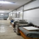 하단동146 이미지