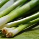 주걱수제비 이미지