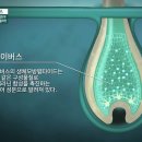 원데이즈웰 이미지