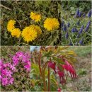 봉오리농장 이미지