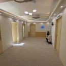 수지애견 이미지