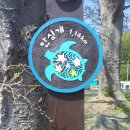 돌산공원길 Daum카페