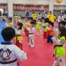 강한 태권도장 이미지