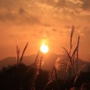 개인약수 탐방로 입구 이미지