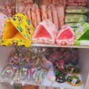 미니펫스토리 이미지