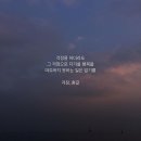 꽃길43