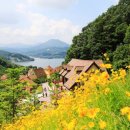 피노키오의 호수 이미지