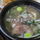 용솔해장국