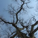 중리마을회관 이미지