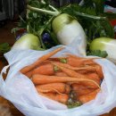 형우농장 이미지