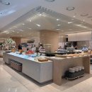 희망고속투어 주식회사 | 아펠가모 반포 웨딩홀 투어 후기｜26년 8월, 9월 잔여타임 견적·보증인원·식대 총정리