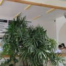 킹세탁소 이미지