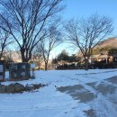 정희농박 이미지