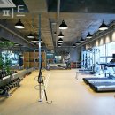 어반피트 이미지