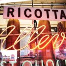 Top Dog PC 이미지