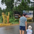 (주)사려니 이미지