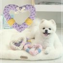 BE애견용품 쇼핑하우