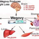 팔용온누리약국 이미지