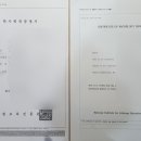 햇살 외국어 번역 행정사 사무소 네이버블로그