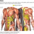 태전드림정형외과의원 이미지