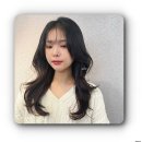 힙스터샵
