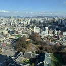 호텔스페셜 | 서울신라호텔 콘티넨탈 스페셜데이 5코스 런치 후기🎄