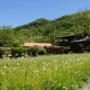 속리축산 연합뉴스