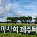한국마사회 제주육성목장 동물병원 | 제주 조천 '한국마사회 제주목장' 드넓은 초원에서 말과 함께한 힐링 산책