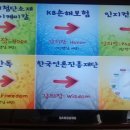 폴라리스앤포티스 이미지