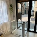 골드독트리멍 이미지