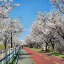 남한강로 이미지