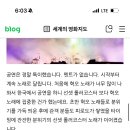 스테이대흥 이미지