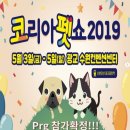 수제펫연구소 강아지 보양식 :)) 말고기 습식 캔