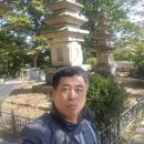 국화공원 이미지