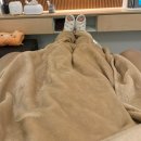 최소영미용실 | [원주 뷰티] 원주두피스케일링으로 산후 탈모 관리, 만족했던 셀비오 원주무실점 두피케어 후기