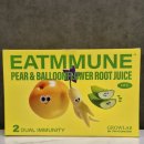 건강교실-자연면역력 키우기 | 국내산 원료 파이토뉴트리 배도라지즙, 아기 면역력 키우기 유아 주스 2sede 제품