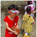 신리농장 이미지