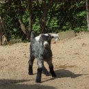 증평지역자활센터 이미지