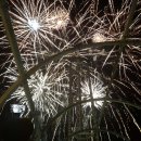 불꽃치과의원 이미지