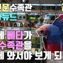아쿠아듀드 이미지